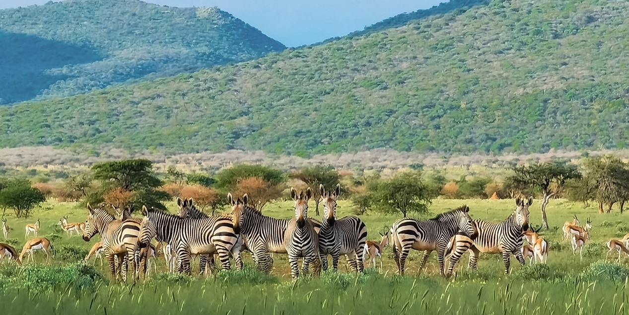 华为p40|华为P40和Mate30怎么选？对比测评来袭！