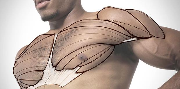 「胸肌」“他胸肌练得真好!”是怎样找准训练角度,进步快人3倍!