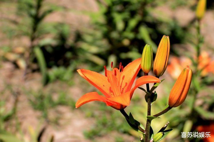 处女座■三大生肖女一不败家，二不显老，娶回家等于娶到宝，有福了