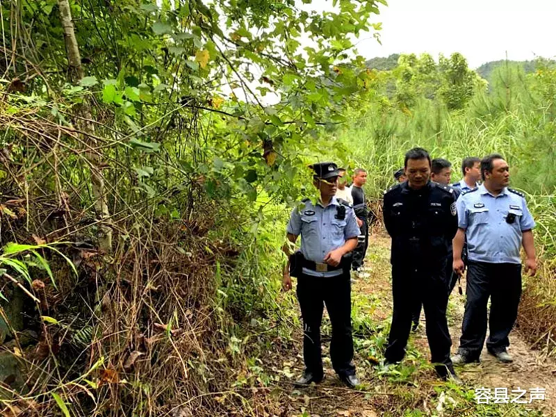 容县之声|广西5户村民的祖坟被破坏，两省居民发生冲突