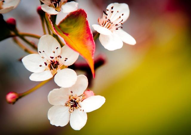 生肖|9月下旬，先得商机，后有财来，4生肖名利双收，一切都往高处走