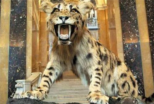 基因@人类真的没有天敌吗？对它的恐惧已刻在基因中，近百年吃掉37万人