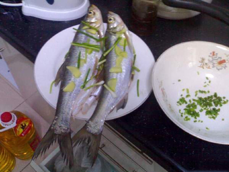 |有一种鱼可以和“长江三鲜”媲美，深受钓鱼人喜欢