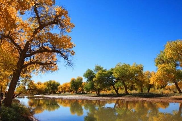 「周边游」中国最美十大景色值得一看