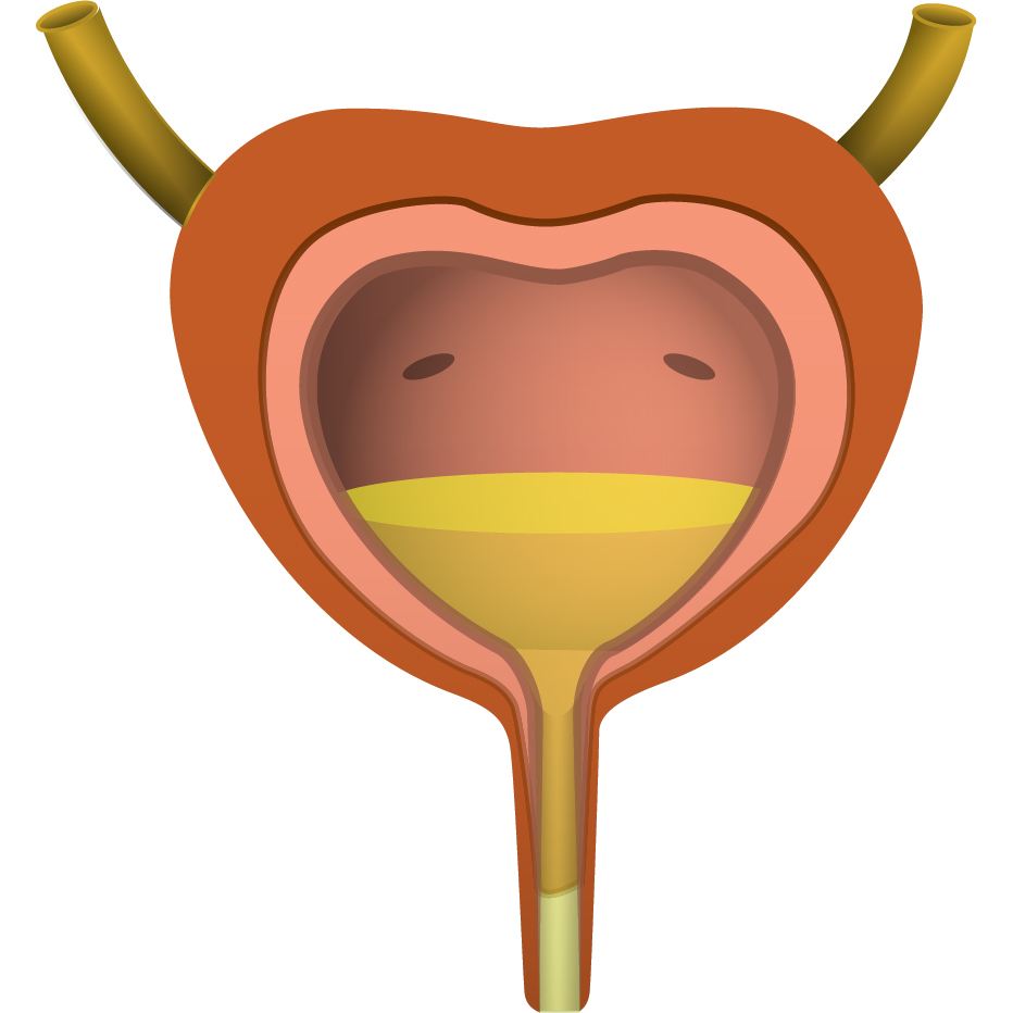 尿酸|一喝水就尿急和喝水多却没尿的人，哪个肾比较好？揭晓答案