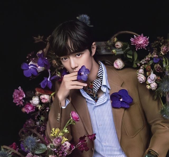 肖战|没盼到肖战登双十一晚会舞台，粉丝们开始盼望有肖战的跨年晚会