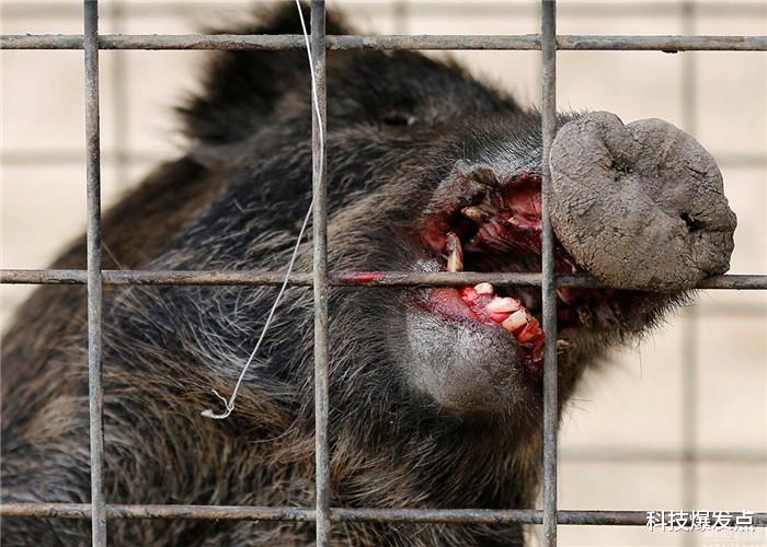 『』如果用手触碰高浓度辐射物,会发生什么?一张纸能救命!