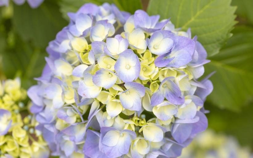 生肖|10月起，四生肖财星高照，贵人相助，事业步步高升