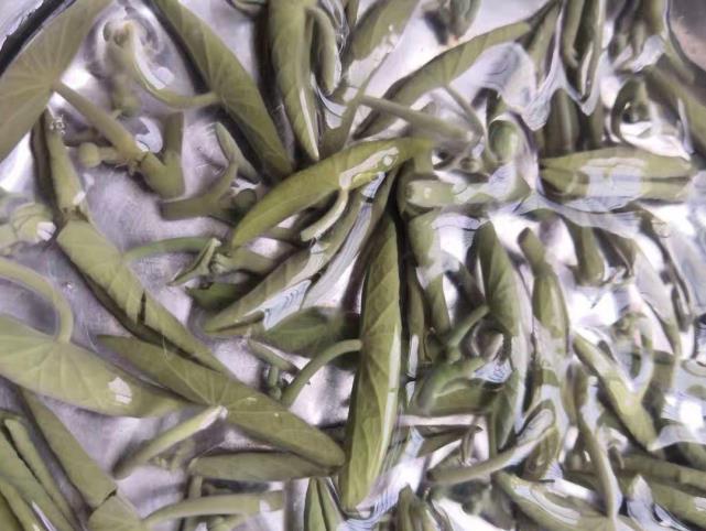 鸡汤|这汤喝到出伏，隔天喝一碗，湿气消失了，比鸡汤鲜，精气神倍儿棒