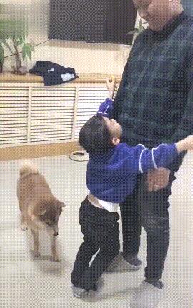 金毛：主人，你能不能不要跟这个女的过