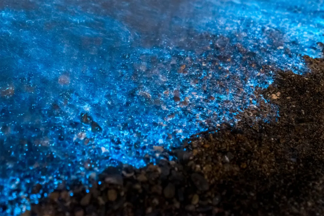 [辽宁省]美过三亚！比厦门浪漫！中国这座海滨老城，去一次相当于环游世界！