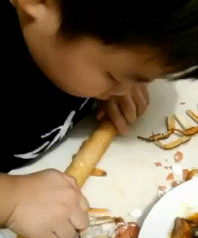 西游记|“猜猜我在张卫健版的西游记里发现了啥！”哈哈哈鸡你太美