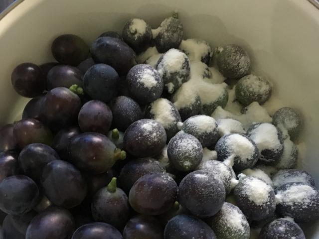 黄油|可以吃的“素颜霜”，8月最便宜1斤3元，做成果酱泡水喝美白淡斑