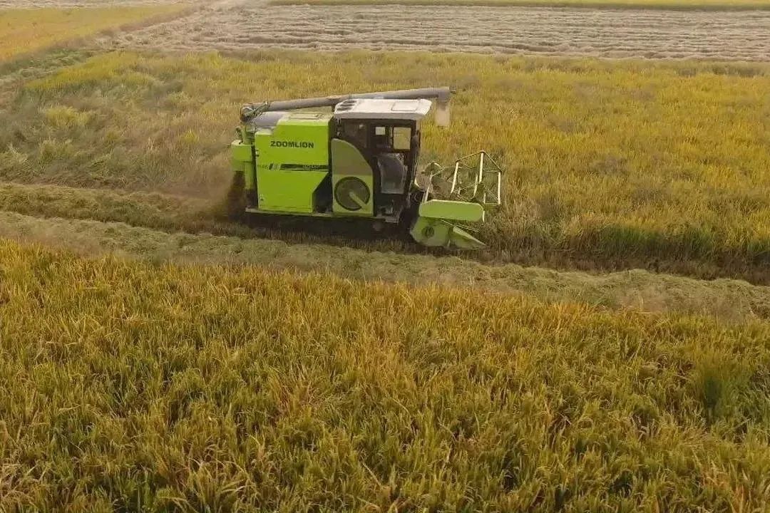 北大荒|35万台农机上阵，北大荒全力抢收
