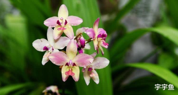 运势|9月开始财运大旺，有贵人一路指点，鱼跃龙门的四大生肖