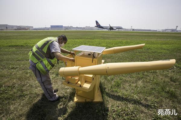 苑燕儿|想做个身穿制服，手拿猎枪酷酷的机场驱鸟员？先要耐住40度的高温
