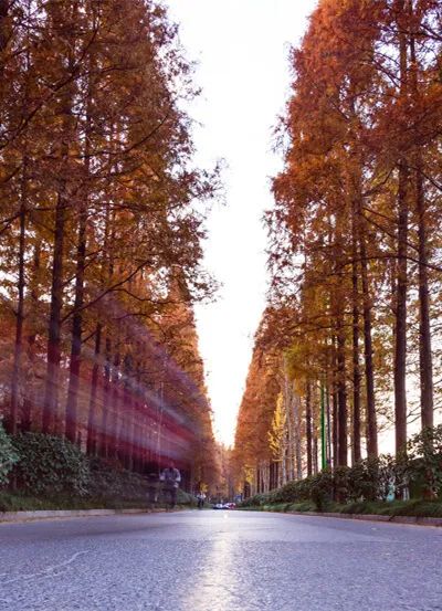 无法抗拒|比苏州秀美！原来它才是江南秋景第一，正适合去过几日慢生活！