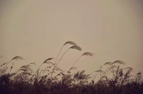 纳兰性德@纳兰性德最凄美的10首词：我是人间惆怅客，知君何事泪纵横