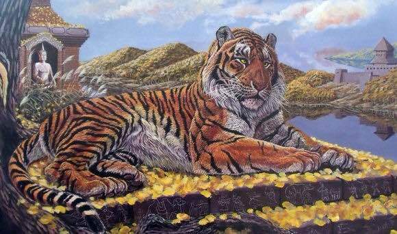 象龟|20世纪全球灭绝的10大珍稀动物