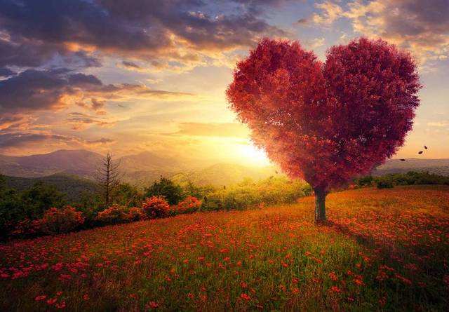 |人死了，以后就是一把土，那活几十年的意义是什么？