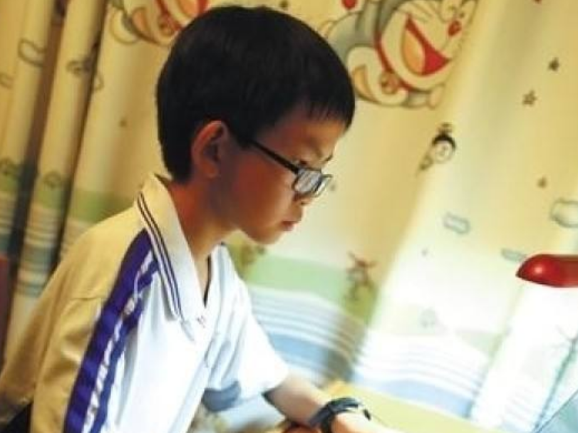 「黑客」中国最小黑客：8岁写代码，10岁建网站，他曾用1元买到2500元商品！