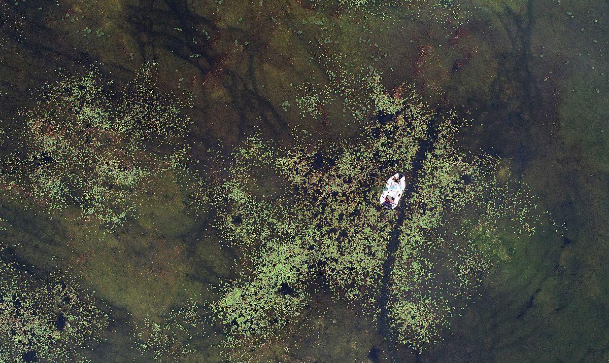 |男子直播钓鱼号称“我在滇池横着走”,执法人员到来后,反差真大