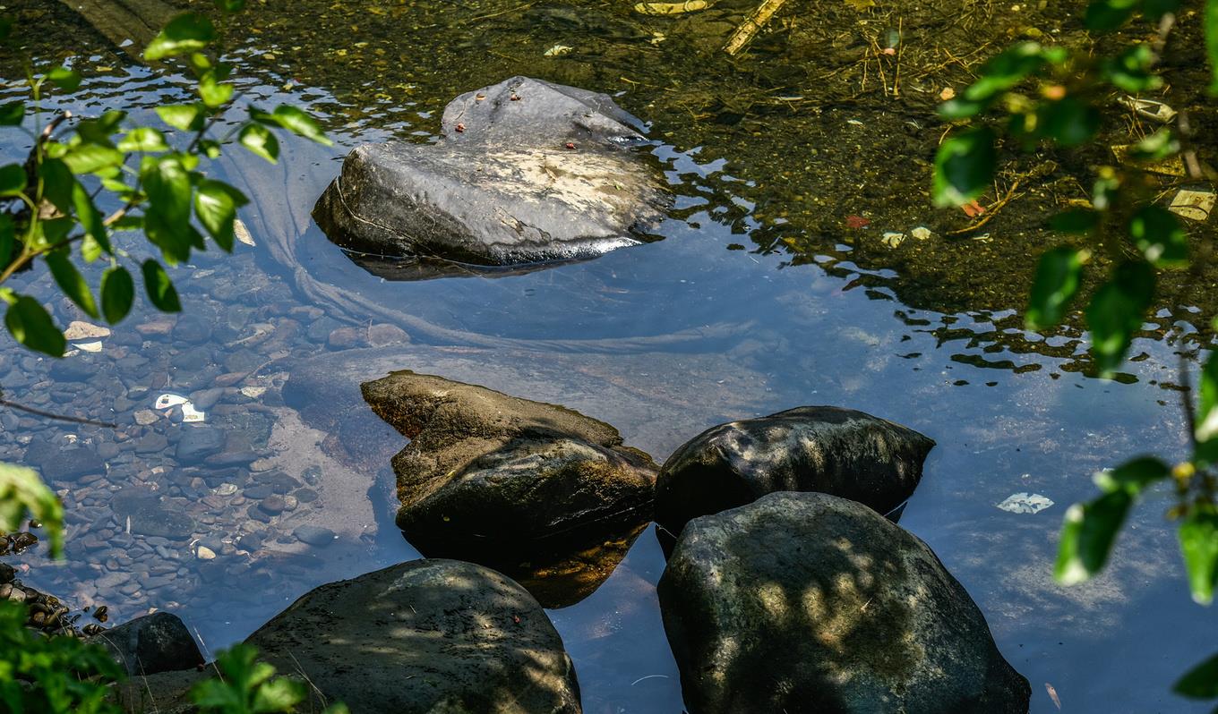 南川|从乡间小路到自驾天堂，皖南川藏线陡然走红，它到底有多美？