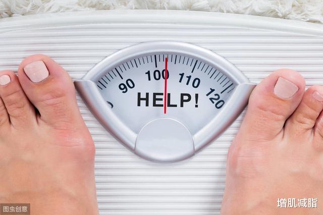 『肠胃』如何瘦下来？牢记“2578”数字原则，6周体脂率下降5%