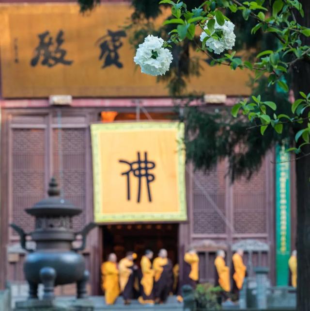 灵隐寺|4年前,那个入职灵隐寺90后小伙,还不起房贷辞职“还俗”了