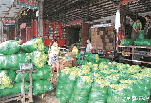 安徽海豚播报|司机怒斥武汉货主，司机再发声：帮卡友要钱，要回来了，并不完美