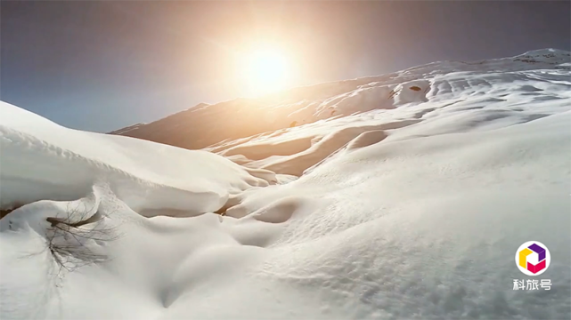 科学家▲2020年春季提前到来？科学家警告：生物节律将被打破，不是好兆头