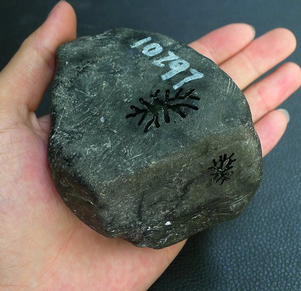 翡翠|翡翠原石的种老与种嫩有什么区别？