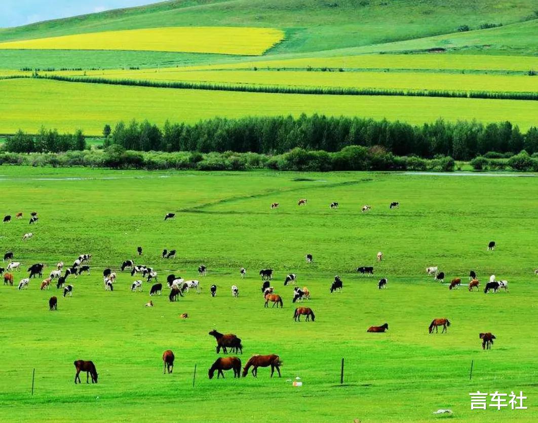 #旅行#你想要的诗和远方，这三辆车满足你