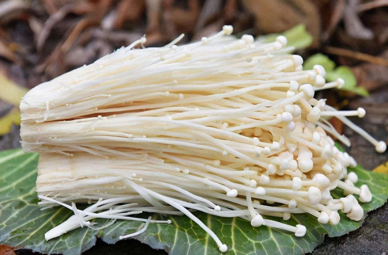 金针菇|爱吃金针菇的人要注意了！我也是今天才知道，看完赶紧告诉家里人