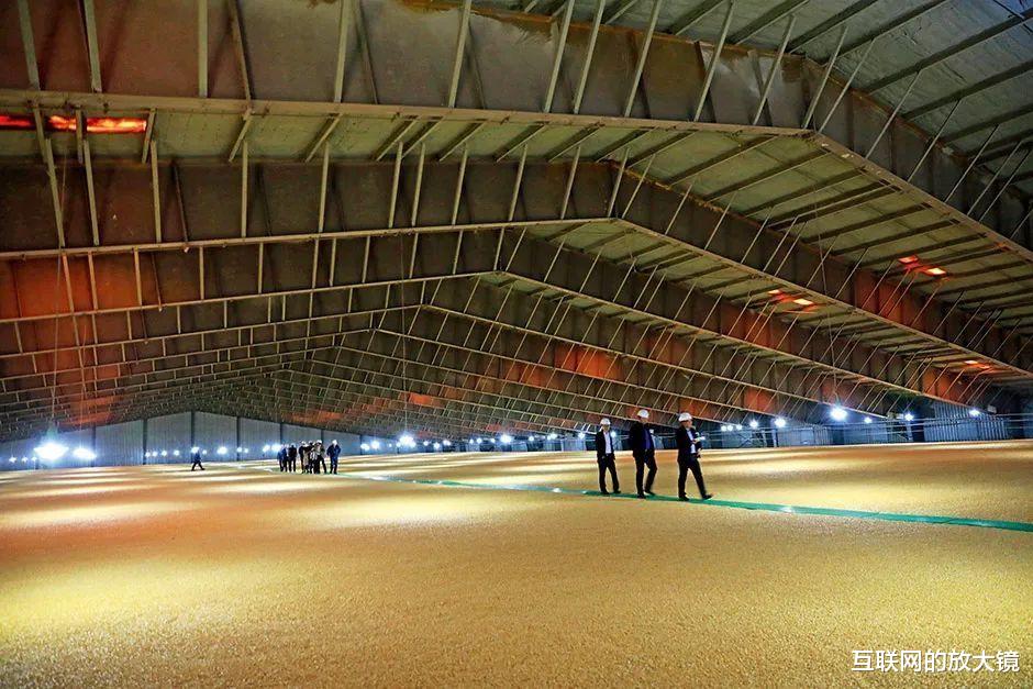 大米|粮食危机席卷全球，泰国大米价格飞涨！中国端紧饭碗的底气在哪