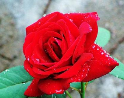 生肖|8月中旬,紫气东来,撞上大运,4生肖披荆斩棘,月底麻布袋装钱