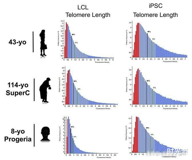 科学家|倒拨百岁老人生命时钟，端粒恢复如婴儿！114岁细胞恢复至0岁