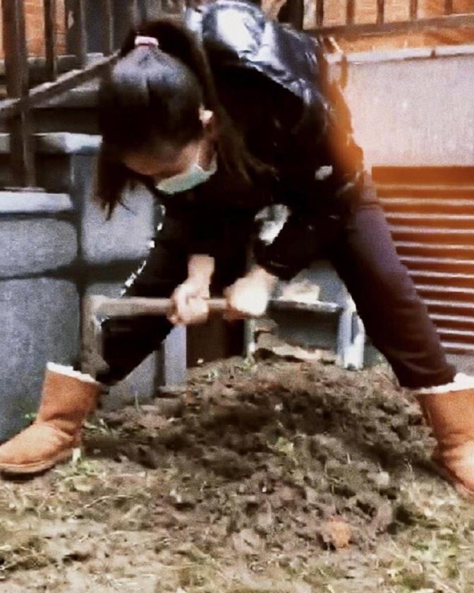 「小海绵」baby在豪宅里开荒种鸡毛菜长势喜人，3岁小海绵帮妈妈除草乖萌可爱