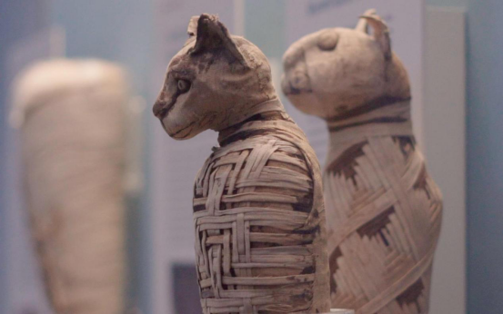 木乃伊|木乃伊接受X光照射后，里面的东西被揭露，竟然不是人！