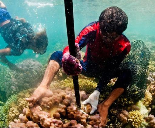 |常年生活在海中的人类，有可能变成鱼人吗？海萨满族就是前车之鉴