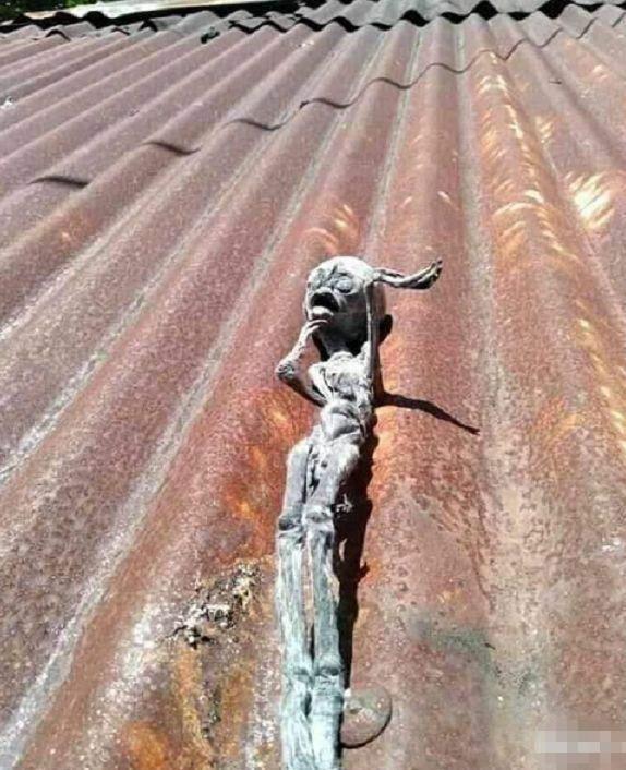 UFO|“惊现疑似UFO出现在破旧屋顶上，被晒成小鱼干。”你们看是真的吗？