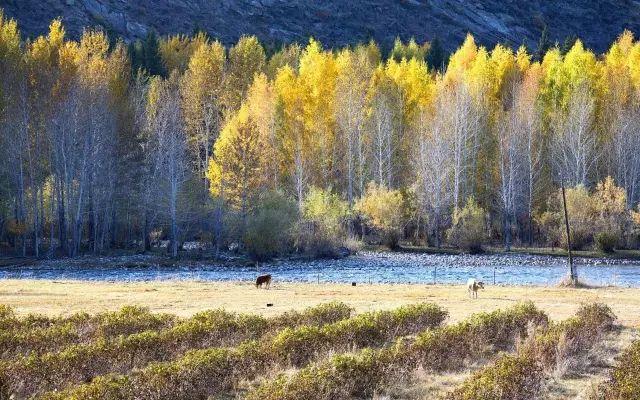 自驾|4条最适合国庆自驾的路线,约上三两好友出发吧!
