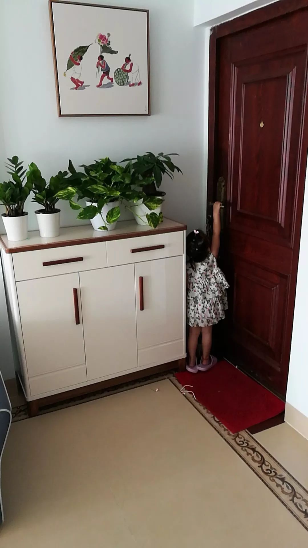 绿植怎么种更美？多种几盆，摆上架子，美出天际！