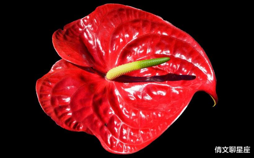 巨蟹座|10月份，桃花肆意暴涨，散发真爱吸引力，有望喜结良缘的4大星座