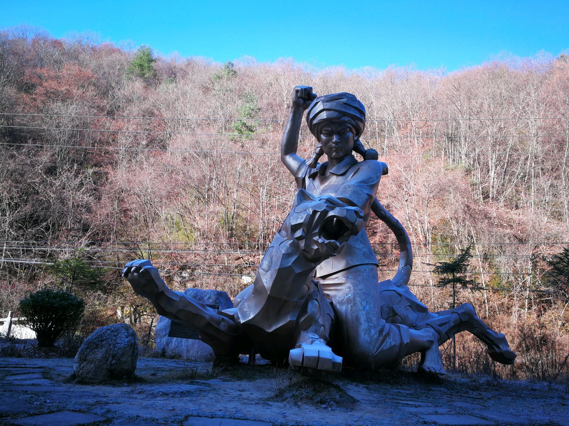 趣观历史|少女45年前为救同伴，徒手打死2米长金钱豹，最终为何抑郁而亡？