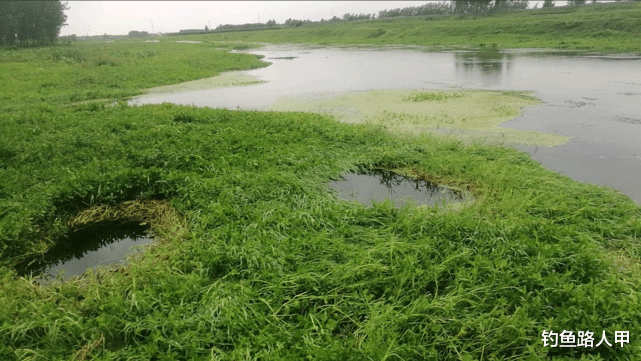 []阴雨天鱼口会更好？不懂分辨真正好天气，出门钓鱼等于浪费时间