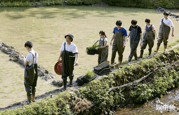 许光汉|许光汉点燃《向往》沉寂已久的导火索，或许这档综艺是时候结束了！