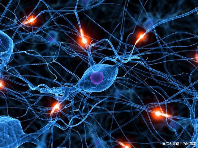 |人类被高等文明圈养，等待灵魂收割，能量高的将植入到高等生物？