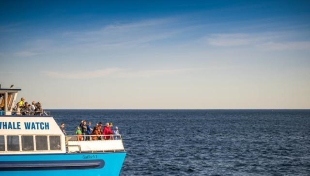 签证|中国最难办到签证的国家！欢迎世界各国游客，唯独“严查”中国？