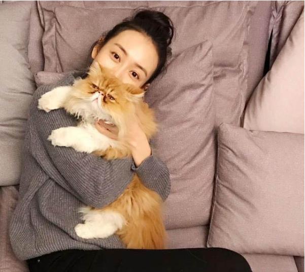 ?参观王鸥现实的家，很普通的商品房，平时在家经常下厨做饭